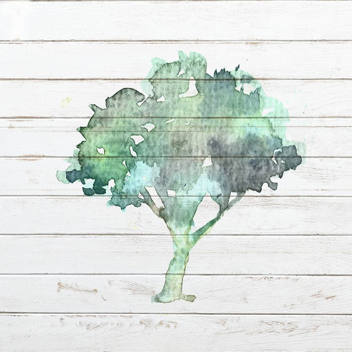 Watercolor Tree 1 Poster Print by Ann Bailey # BASQ052A