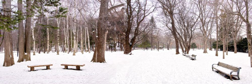 Hokkaido 11 Poster Print by Alan Blaustein # B3937D