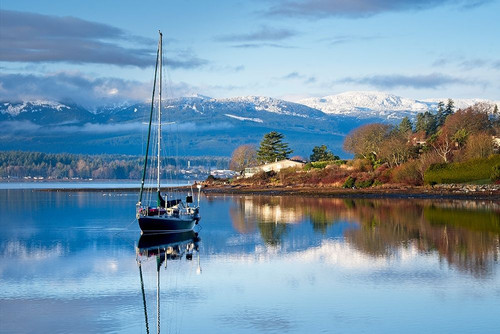 Stillness Poster Print by Chuck Burdick # B3894D
