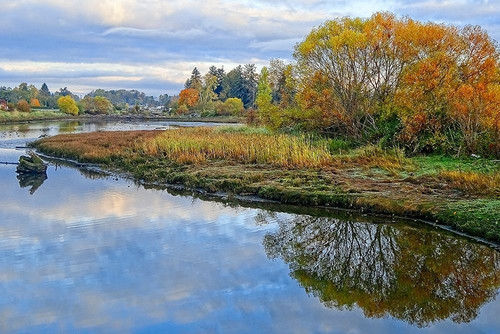 Estuary Autumn Poster Print by Chuck Burdick # B3837D