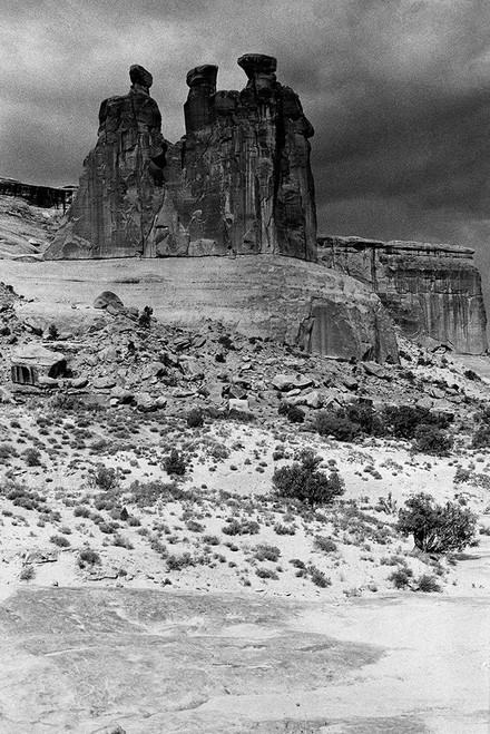 Majestic Beings 2 Poster Print by Albert Koetsier # AKRC655B