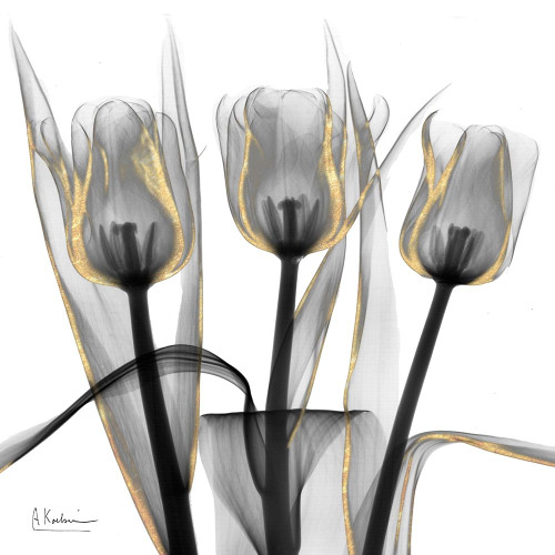 Gold Embellished Tulips 4 Poster Print by Albert Koetsier # AK8SQ222D