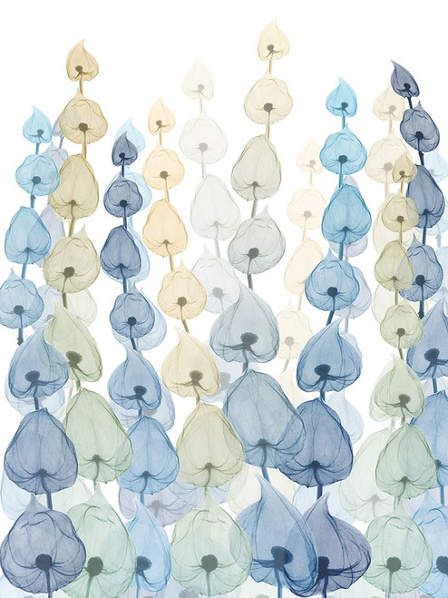 Lantern Forest Poster Print by Albert Koetsier # AK8RC340A