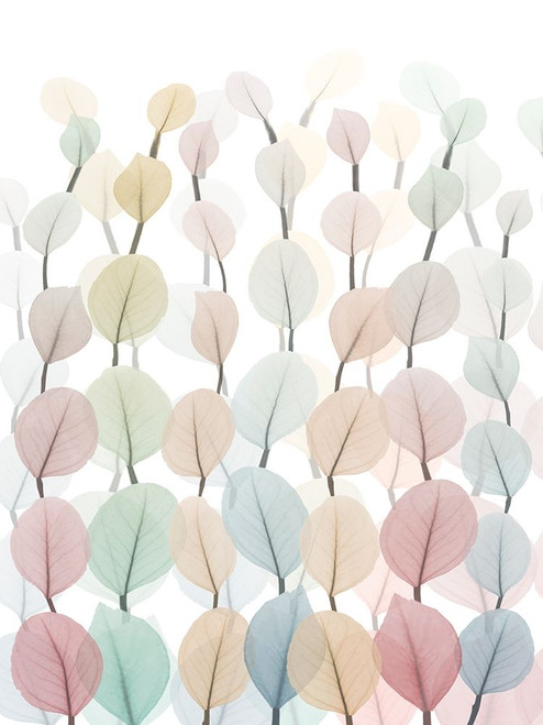 Neutral Forest 2 Poster Print by Albert Koetsier # AK8RC340B2