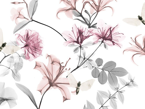 Sweet Nectar 1 Poster Print by Albert Koetsier # AK8RC341A