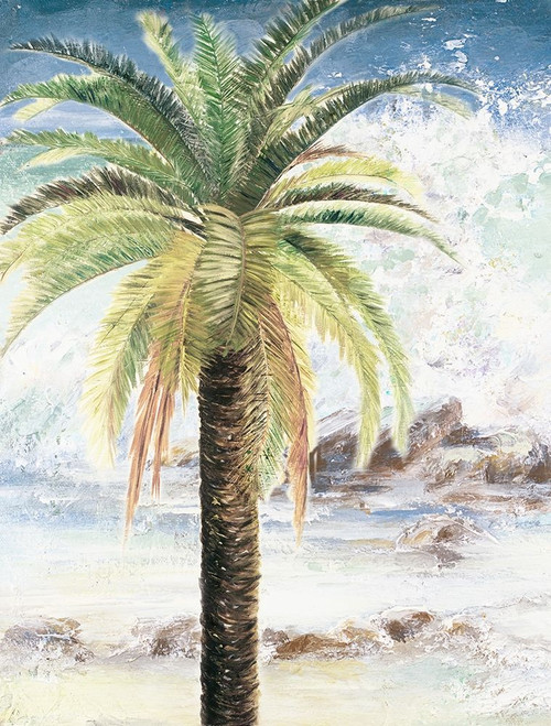 Coastal Palms II Poster Print by Patricia Pinto # 7387F