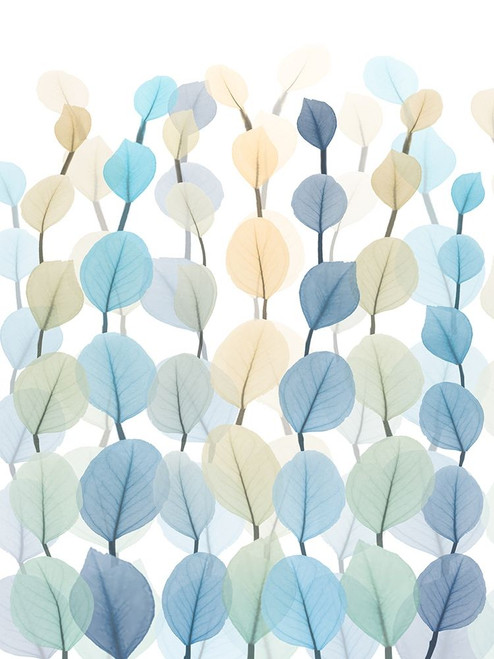 Lantern Forest 2 Poster Print by Albert Koetsier # AK8RC340B