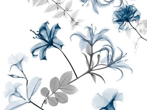 Sweet Bouquet 4 Poster Print by Albert Koetsier # AK8RC341D1