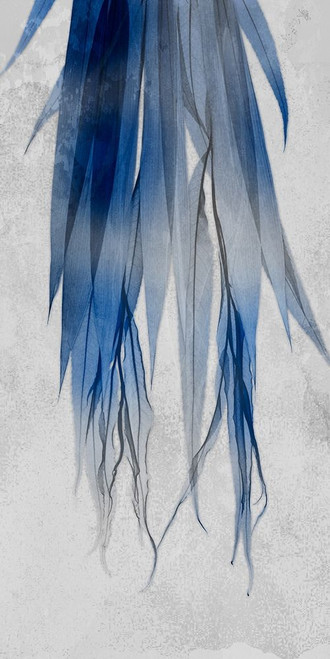 Indigo Growth 2 Poster Print by Albert Koetsier # AK8RN015B