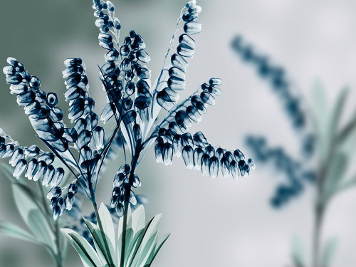 Unfocused Visions 1 Poster Print by Albert Koetsier # AK8RC594A