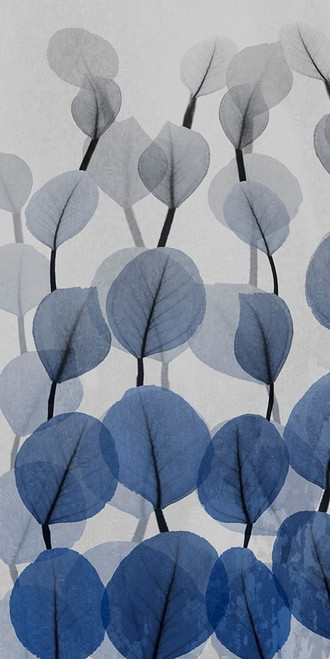 Sapphire Bunch 1 Poster Print by Albert Koetsier # AK8RN016A