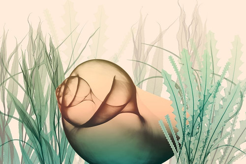 Underwater Dawn 2 Poster Print by Albert Koetsier # AK8RC338B