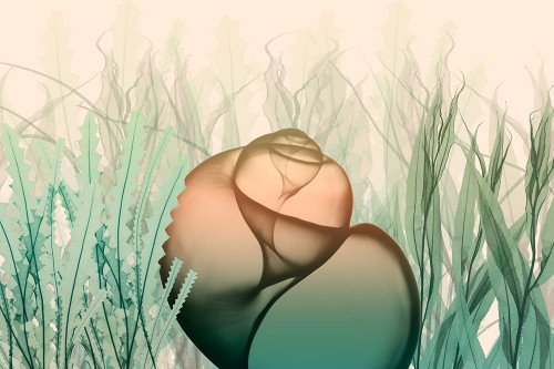 Underwater Dawn 3 Poster Print by Albert Koetsier # AK8RC338C