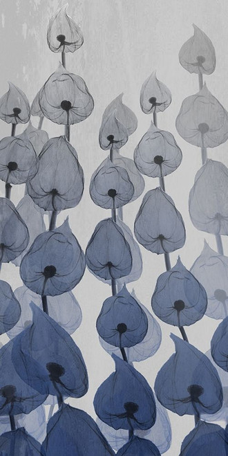 Sapphire Bunch 3 Poster Print by Albert Koetsier # AK8RN016C