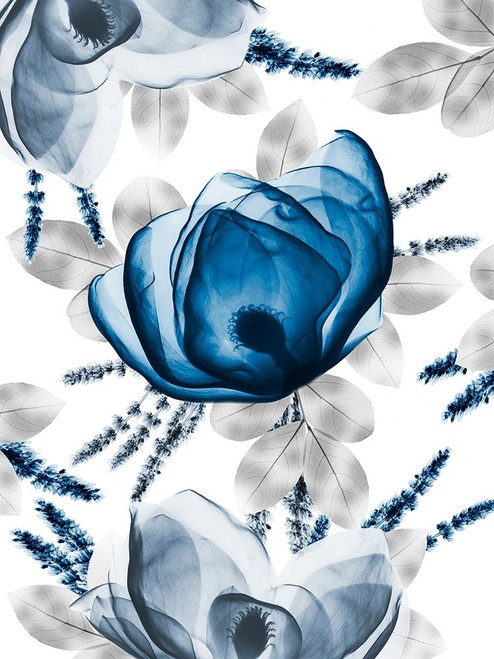 Invigorating Beauty 2 Poster Print by Albert Koetsier # AK8RC418B