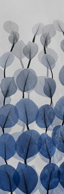 Sapphire Blooms 3 Poster Print by Albert Koetsier # AK8PL032A