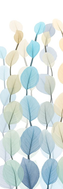 Lanterns On White 2 Poster Print by Albert Koetsier # AK8PL033B