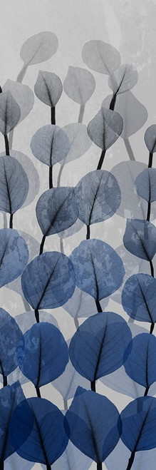 Sapphire Blooms 4 Poster Print by Albert Koetsier # AK8PL032B