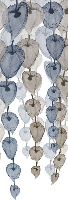 Neutral Cascade 2 Poster Print by Albert Koetsier # AK8PL127B