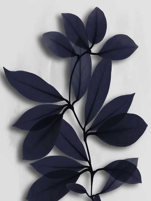 Maritime Wonder 2 Poster Print by Albert Koetsier # AK8RC331B3