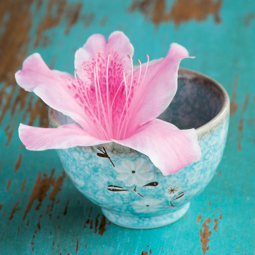 Fraicheur Matinale I Poster Print by BRAUN Studio BRAUN Studio # A573