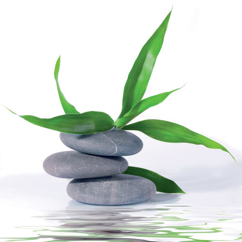 Aqua III Poster Print by BRAUN Studio BRAUN Studio # A571