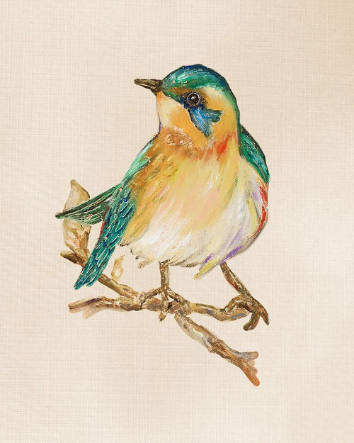 Bird on Perch IV Poster Print by Patricia Pinto # 9374DD
