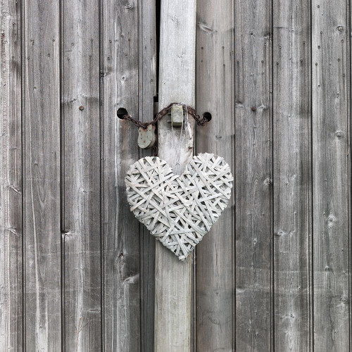Heart on old rustic door Poster Print by Assaf Frank # AF20140501105C01
