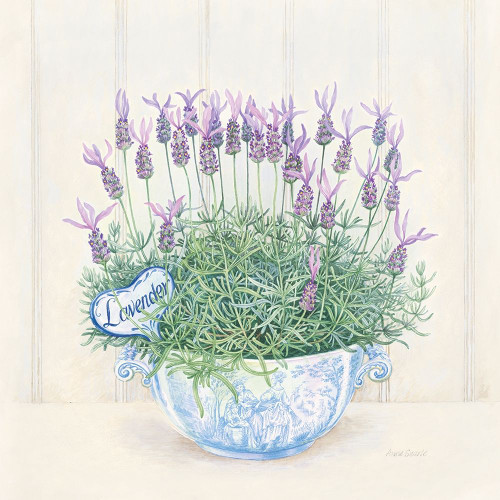 Lavender Poster Print by Anne Searle # 9360