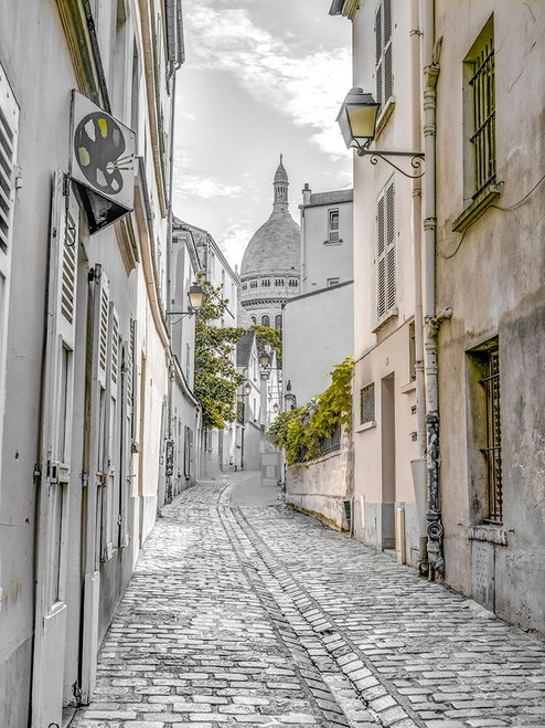 Cobbled Street-Montmartre-Paris Poster Print by Assaf Frank # AF20140920490XC02