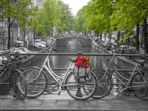 Bicycle with bunch of flowers by the canal, Amsterdam Poster Print by Assaf Frank # AF201605221556C01