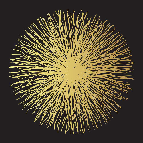 Soleil dore Poster Print by Braun Studio Braun Studio # A641