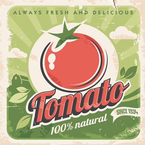 Tomato Poster Print by Braun Studio Braun Studio # A658