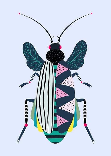 Beetle Poster Print by Ayse Ayse # A669D