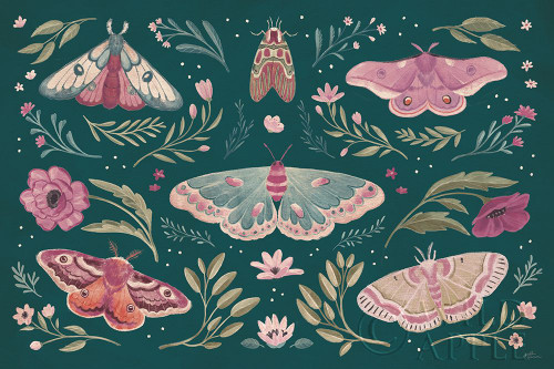 Winged Study I Plum Poster Print by Janelle Penner # 64059