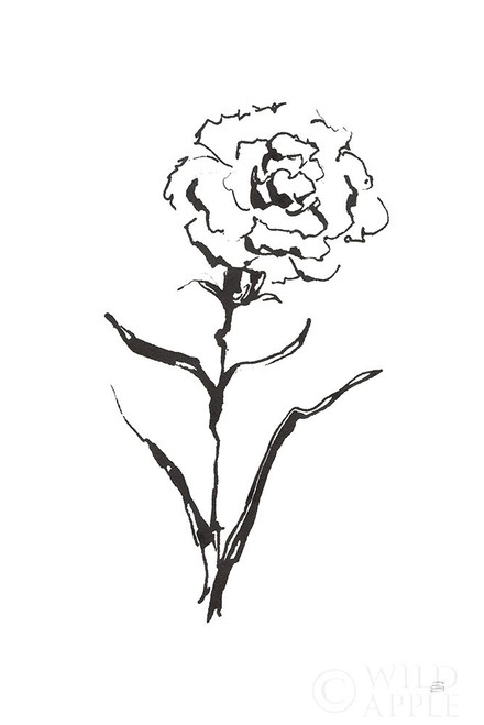 Line Carnation I Poster Print by Chris Paschke # 64186