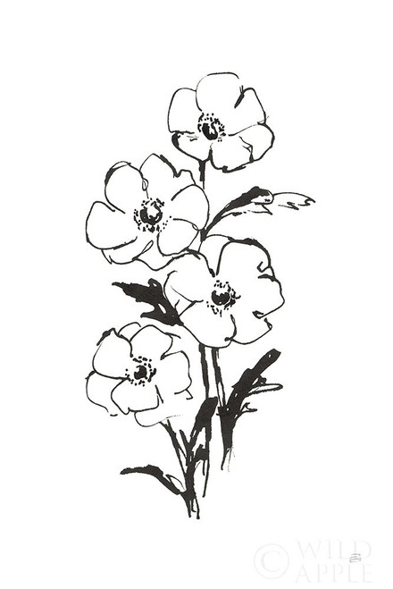 Line Anemone I Poster Print by Chris Paschke # 64182