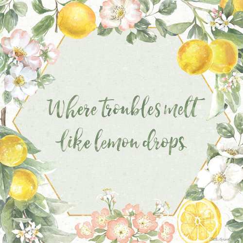 Citrus Charm III Poster Print by Beth Grove # 65557