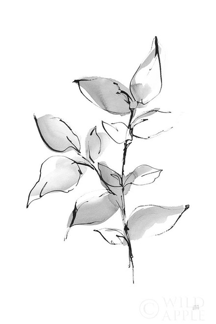 Wash Leaf II Poster Print by Chris Paschke # 65455