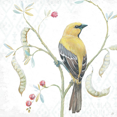 Desert Beauties XII Poster Print by Daphne Brissonnet # 65735