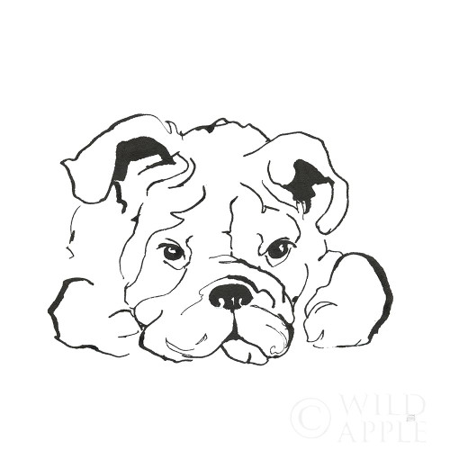 Line Dog Bulldog II Poster Print by Chris Paschke # 63550
