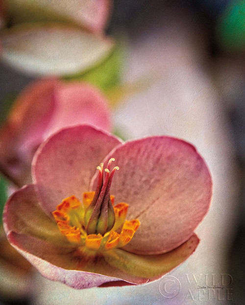 Lenton Rose III Poster Print by Debra Van Swearingen # 63806