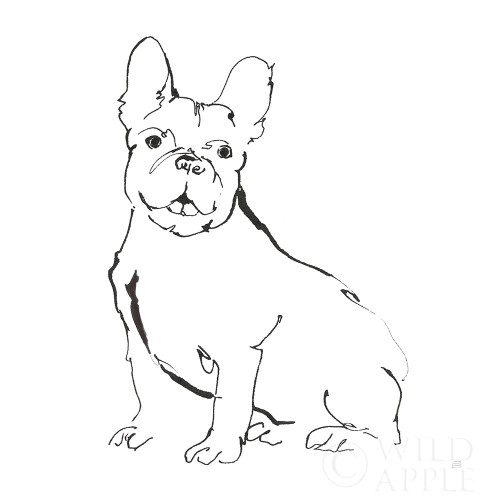 Line Dog French Bulldog II Poster Print by Chris Paschke # 63552