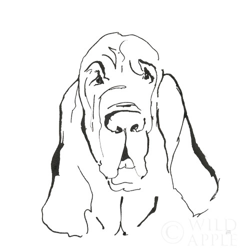 Line Dog Bloodhound I Poster Print by Chris Paschke # 63546