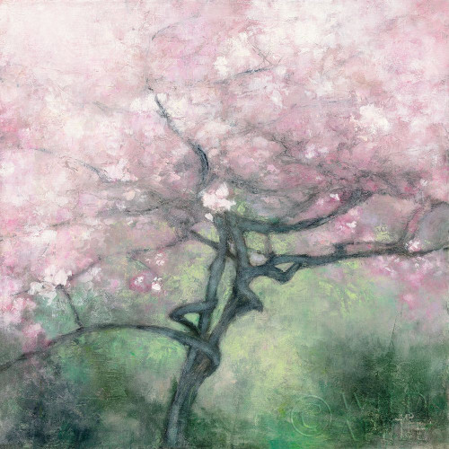 Blooming Apple Tree Poster Print by Julia Purinton # 63247