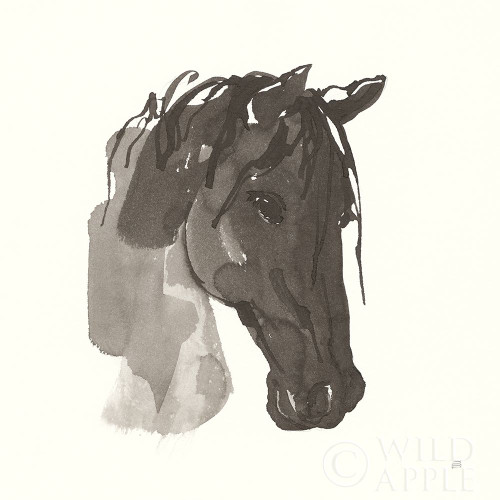 Horse Portrait I Poster Print by Chris Paschke # 62498