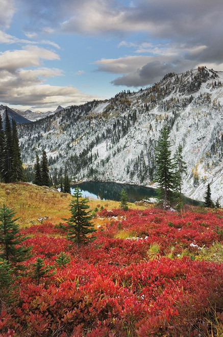 Lake Ann North Cascades  Poster Print by Alan Majchrowicz # 62393