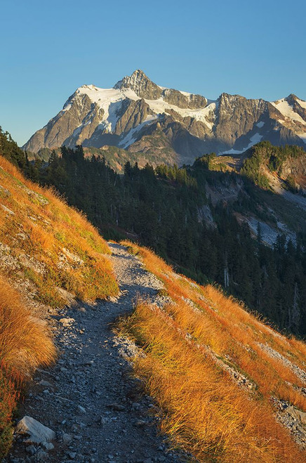 Mount Shuksan North Cascades Poster Print by Alan Majchrowicz # 62394