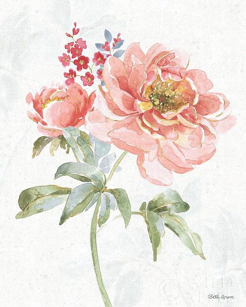 Floral Focus VI Poster Print by Beth Grove # 62327