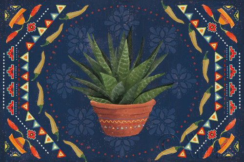 Tex Mex Fiesta II Dark Poster Print by Veronique Charron # 61923